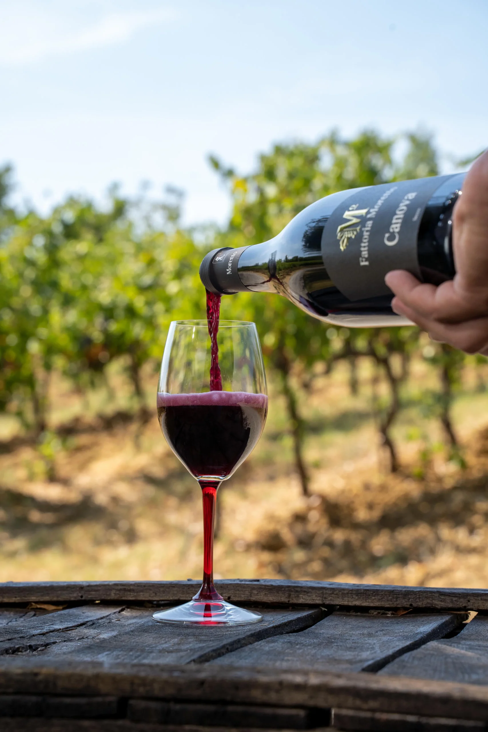 Fattoria Moretto - Cantina — foto 5